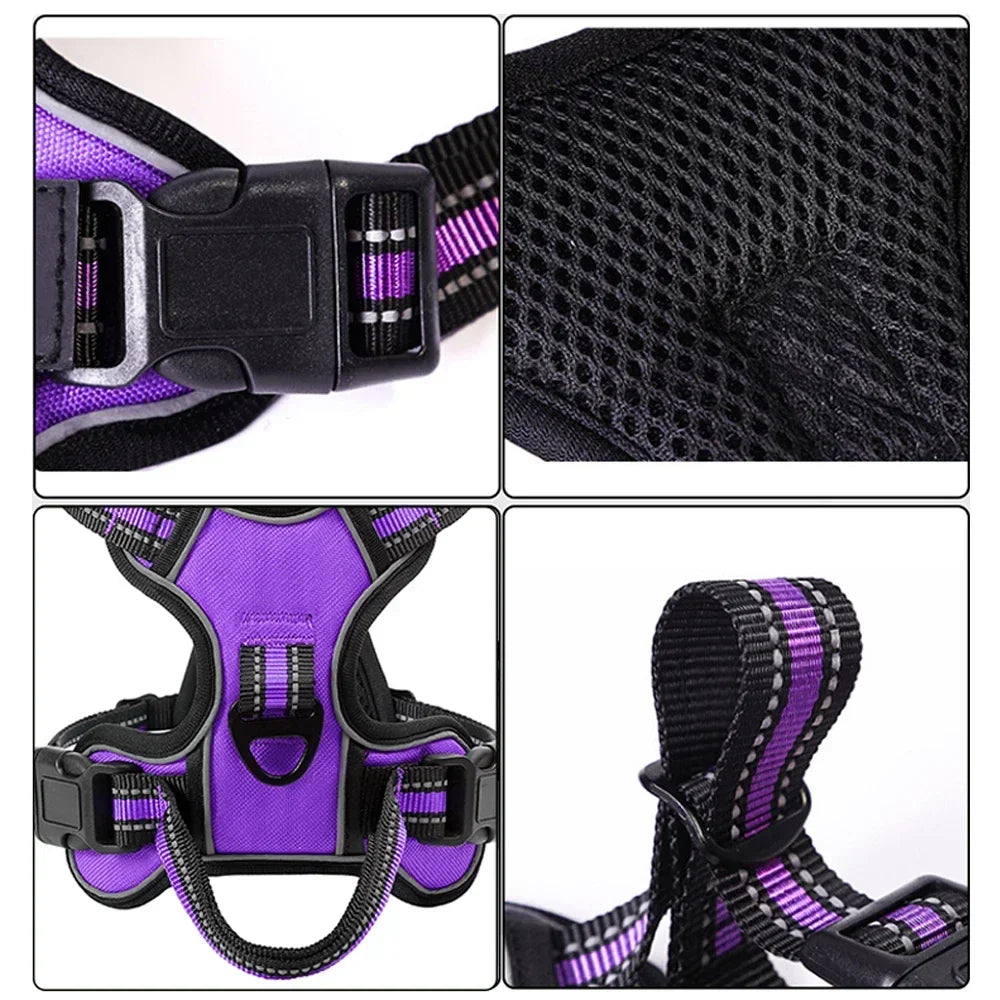 Adjustable reflective dog harness for comfortable everyday walks